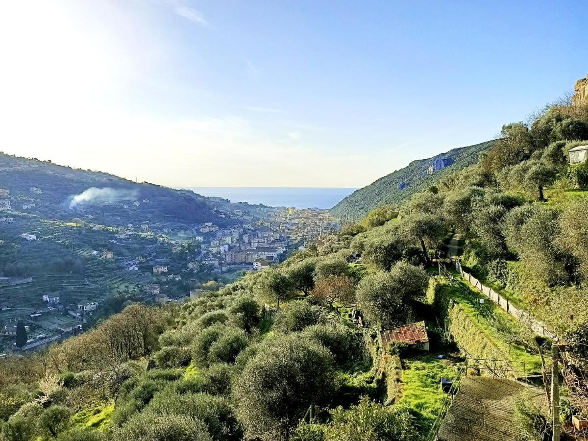 Ca Degli Ulivi Hotel Finale Ligure Exterior foto