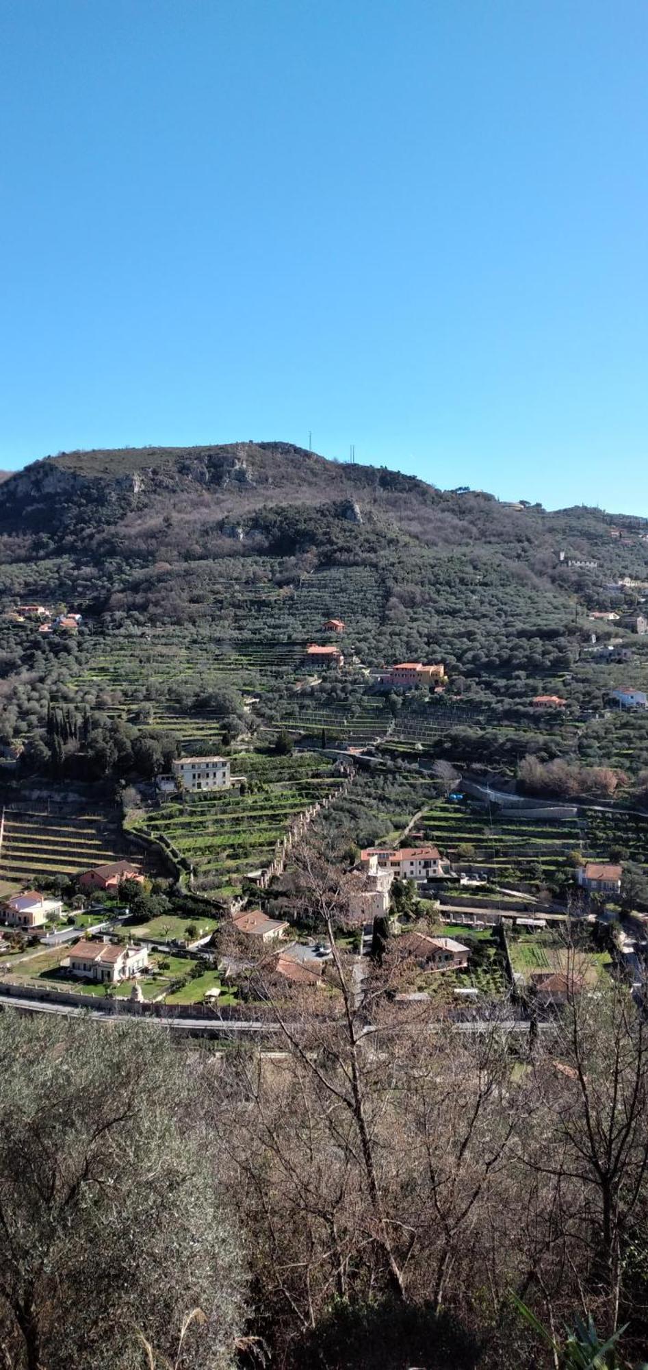 Ca Degli Ulivi Hotel Finale Ligure Cameră foto