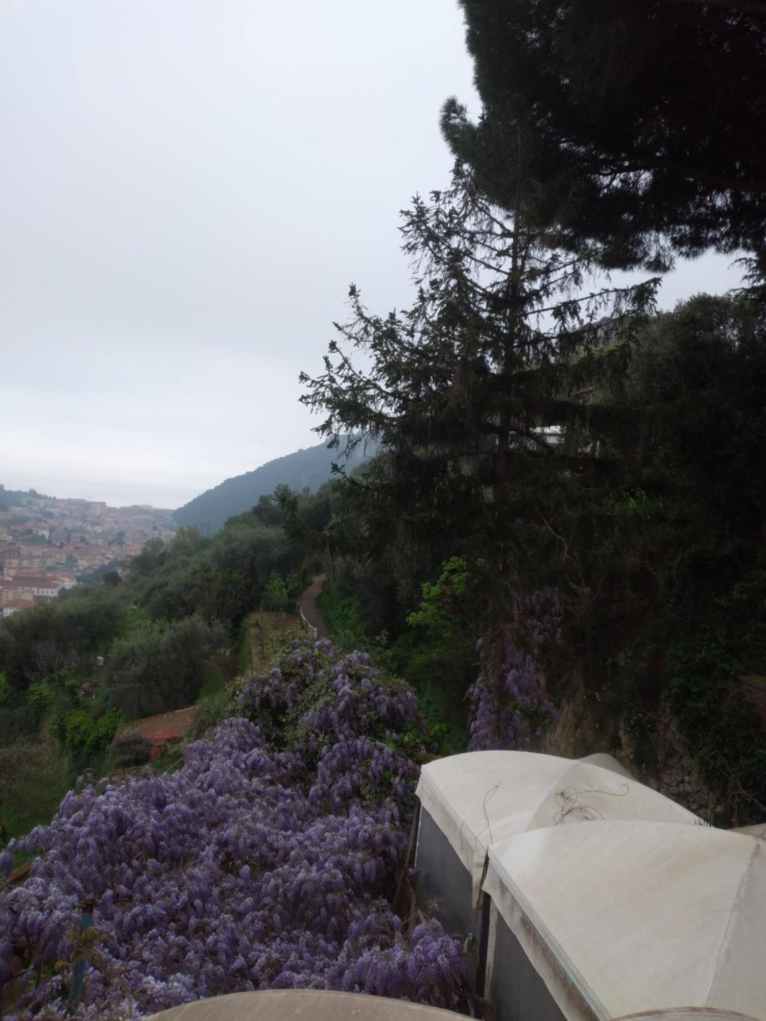 Ca Degli Ulivi Hotel Finale Ligure Exterior foto