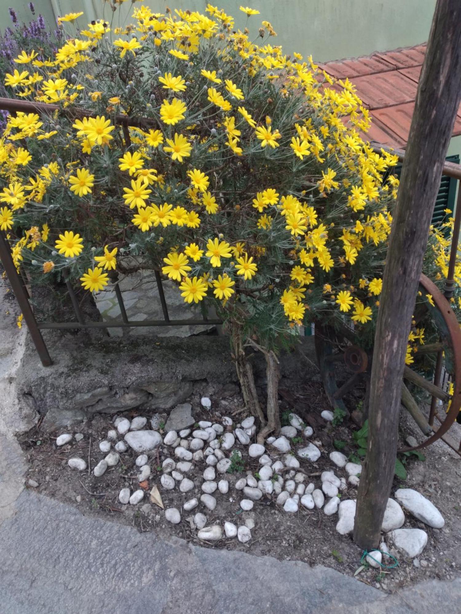 Ca Degli Ulivi Hotel Finale Ligure Exterior foto
